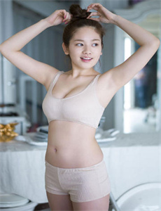 赖布衣妙算玄机国语