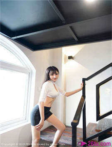 闯堂兔