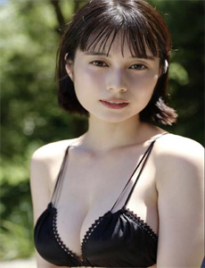 野鸽子电视剧全集